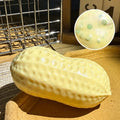 Crunchy Peanut ASMR Squishy